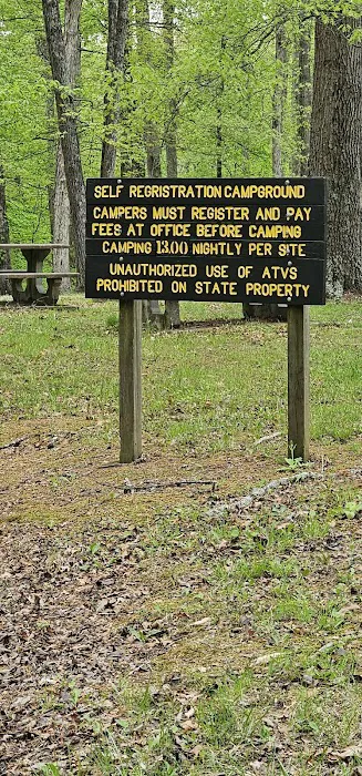 Pike State Forest Campground Picture 1