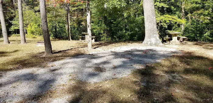 Pike State Forest Campground Picture 5