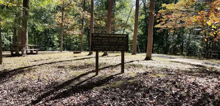 Pike State Forest Campground Picture 3