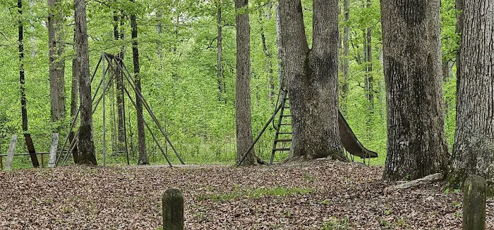 Pike State Forest Campground Picture 4