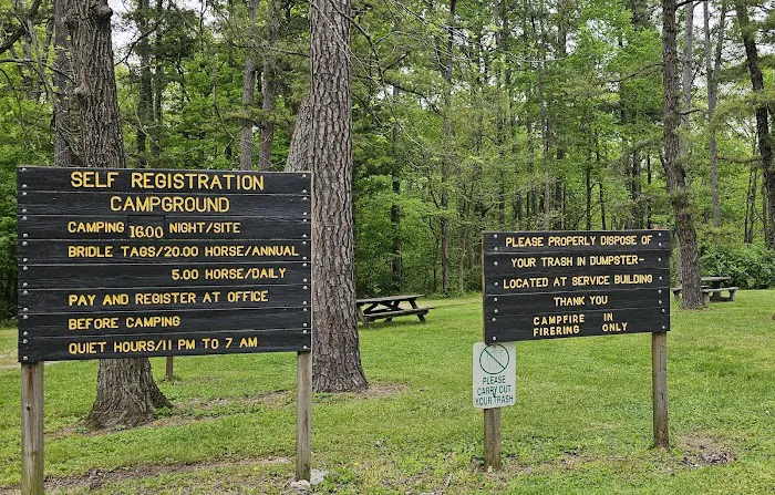 Pike State Forest Campground Picture 9