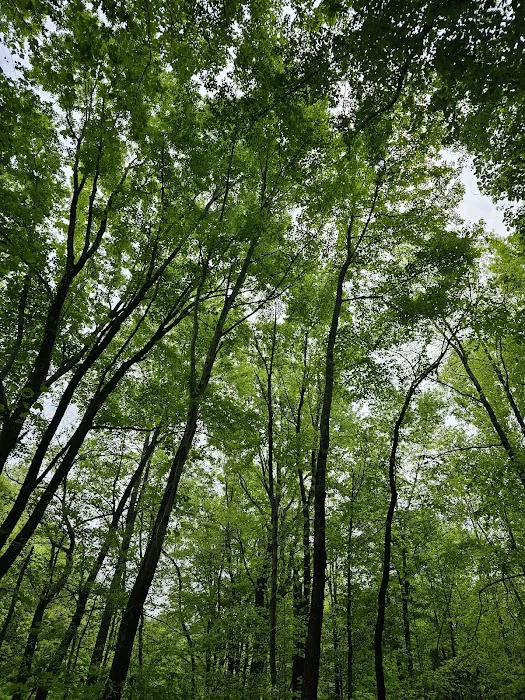 Lincoln State Park, Gobbler's Run Campground Picture 10