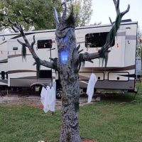 Lake Lincoln Electric Campground ico