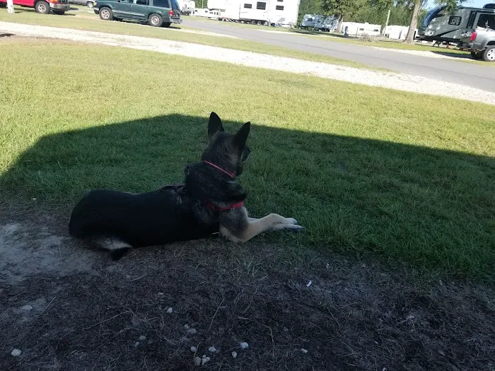 Valdosta Oaks Rv Park Picture 6