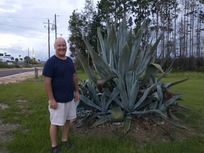 Valdosta Oaks Rv Park Picture 10