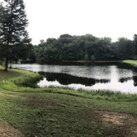 Temple Hills ico