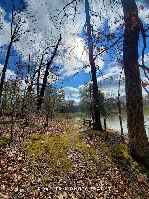 Temple Hills Picture 8