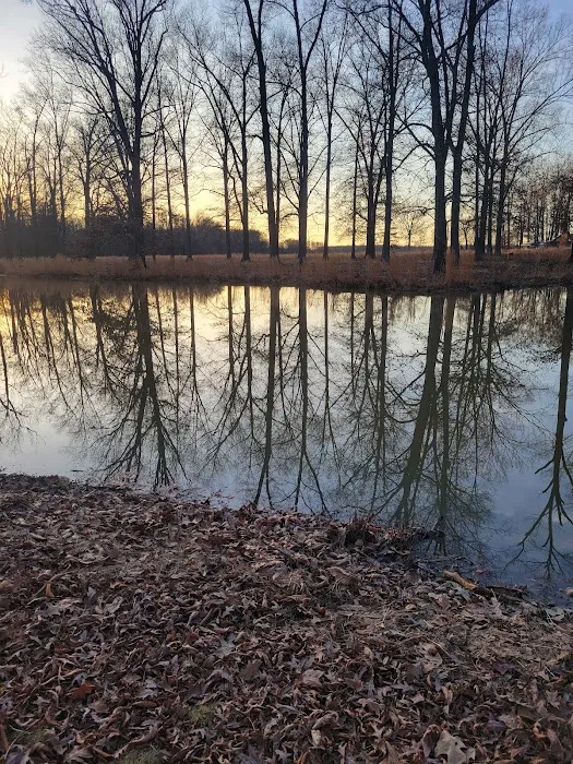 Oakridge Campground, LLC Picture 9