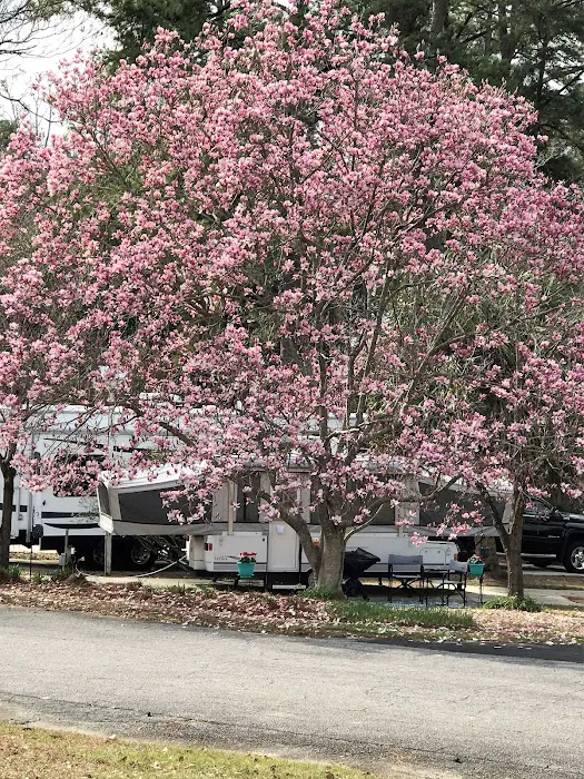 River RV Park Picture 10