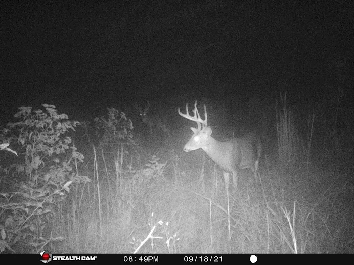 Mollys Ridge Picture 8