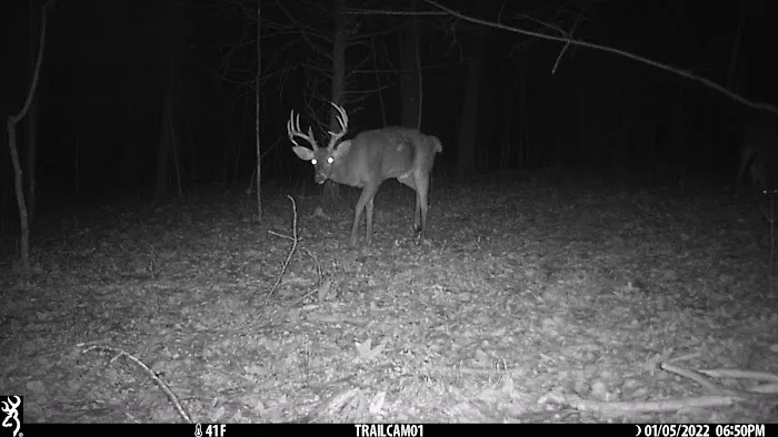 Mollys Ridge Picture 9