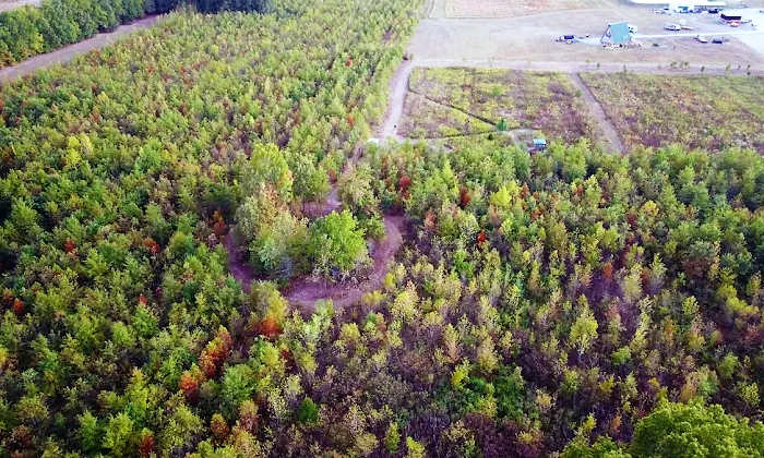 Paducah RV Park & Campground Picture 9