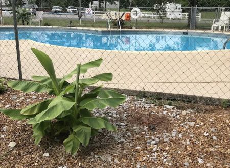 Outback RV Resort, Inc