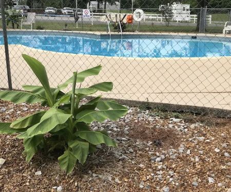 Outback RV Resort, Inc