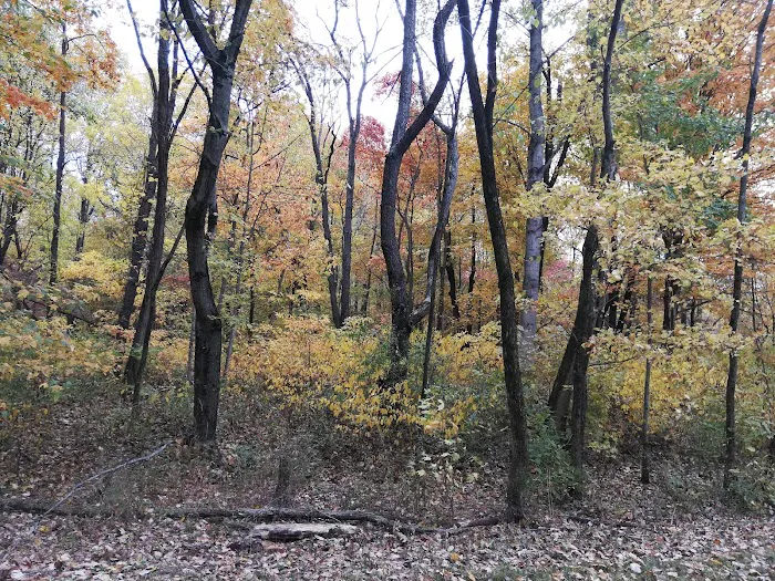 Glendale Campground Picture 2