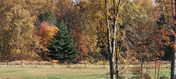Hudsonville Family Campground Picture 5