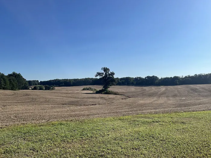 Blue Acres RV Park Picture 6