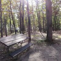 Round Lake Campground ico