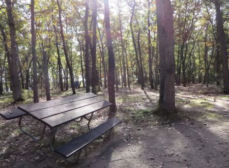Round Lake Campground