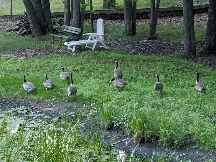 Round Lake Campground Picture 5