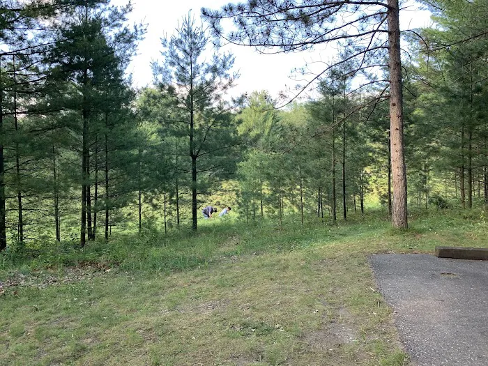 Round Lake Campground Picture 4