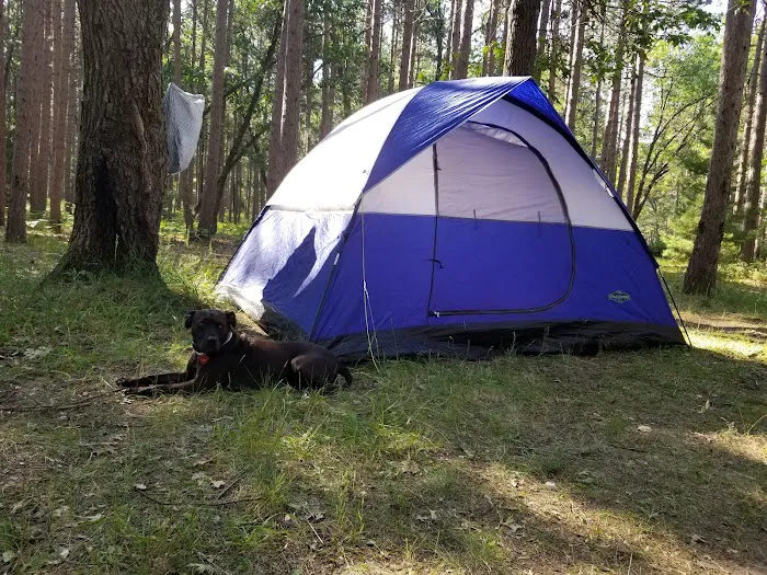 Monument Campground Picture 2