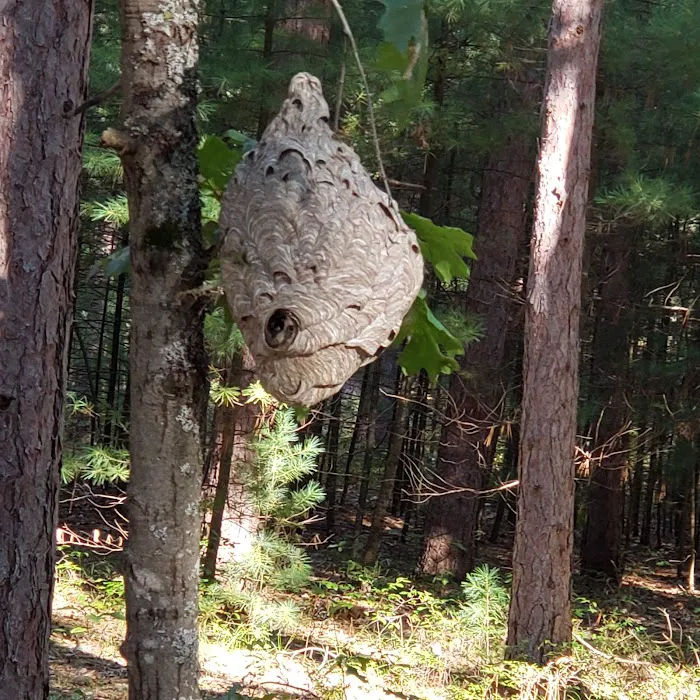 Monument Campground Picture 9