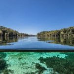 Florida Caverns RV Resort at Merritt's Mill Pond