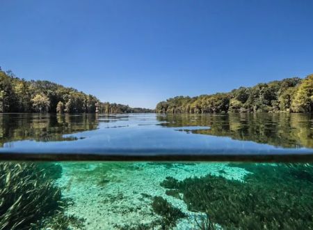 Florida Caverns RV Resort at Merritt's Mill Pond