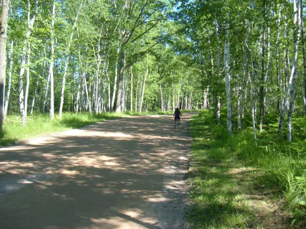 Warblers Cove Campground & RV Resorts Picture 8