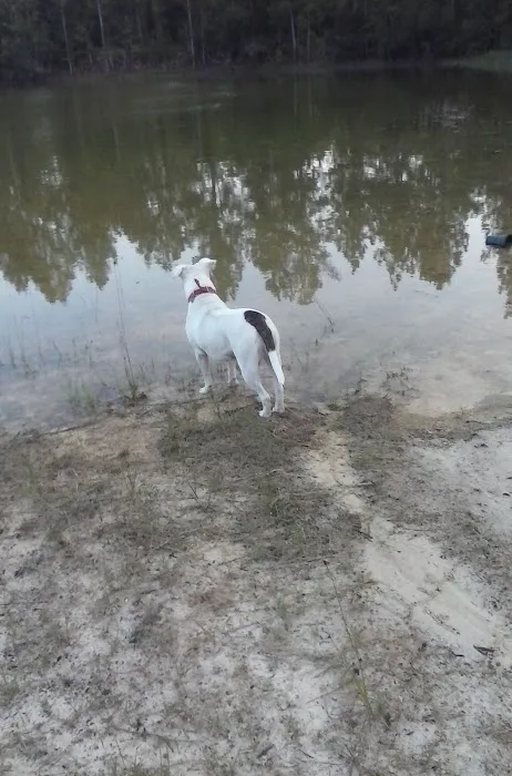 Lost Valley Campground Picture 2