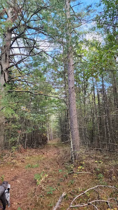 River Road Trail Horse Camp Picture 2