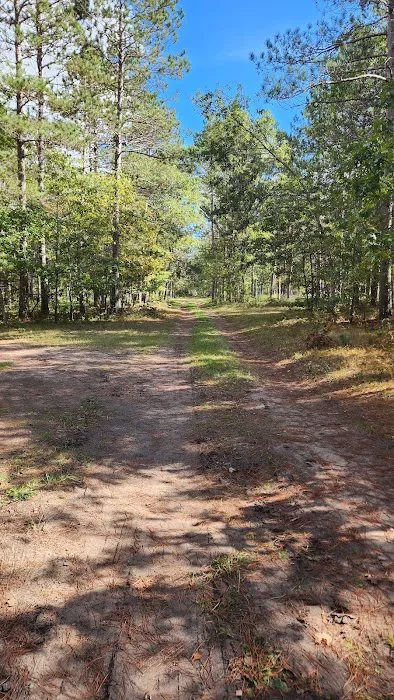 River Road Trail Horse Camp Picture 4