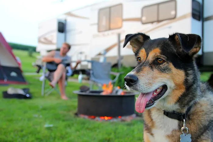 Dove Rest RV Park Picture 4