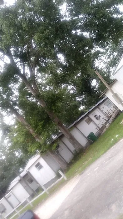 Trailer Park Picture 1