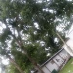 Trailer Park