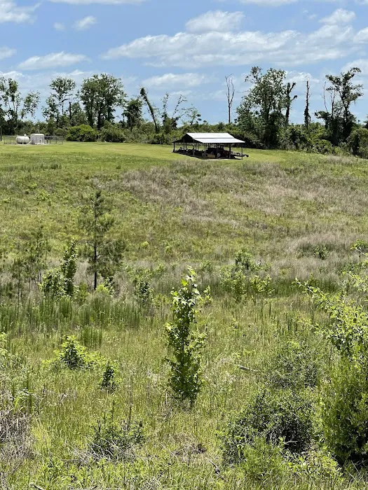 Alliance Hill RV Resort Picture 6