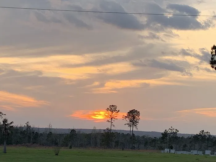 Alliance Hill RV Resort Picture 7