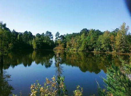 HitchinPost RV Park and Campground