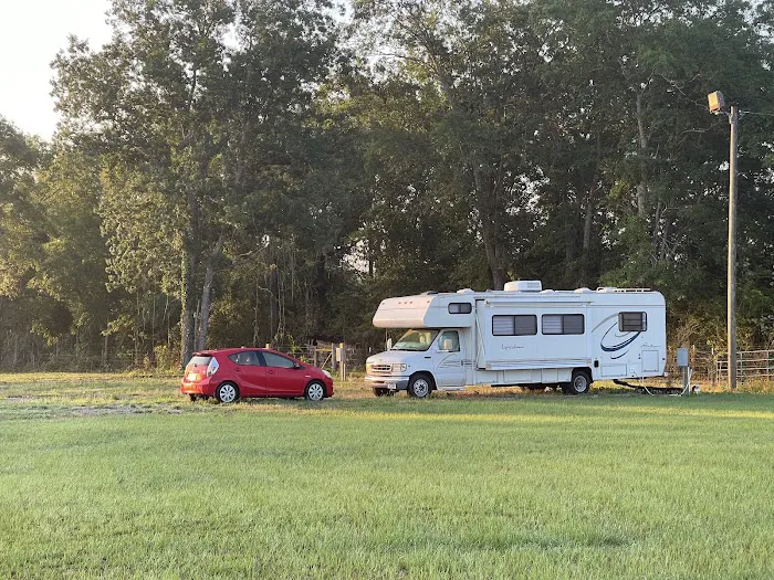 Wiregrass RV Park and Campground Picture 4