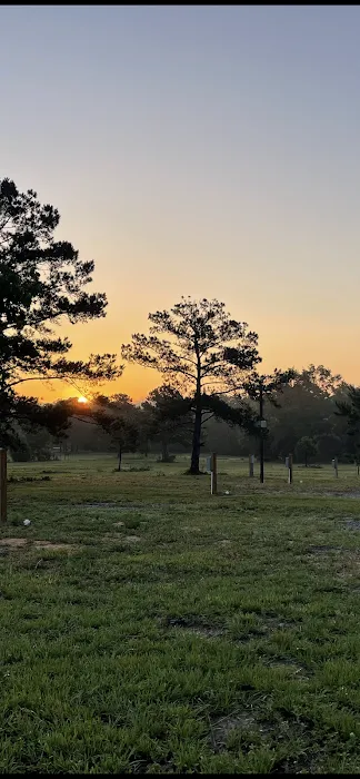 Wiregrass RV Park and Campground Picture 5