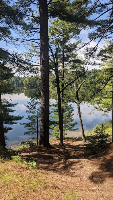 Au Sable River Camping Site 93D Picture 2