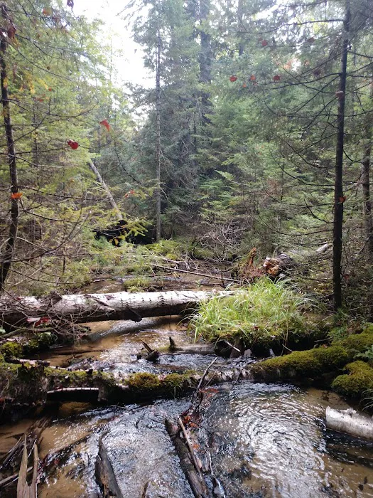 Au Sable River Camping Site 93D Picture 3