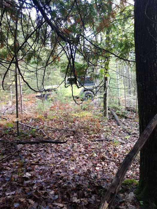 Au Sable River Camping Site 93D Picture 8