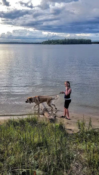 Van Etten Lake State Forest Campground Picture 10