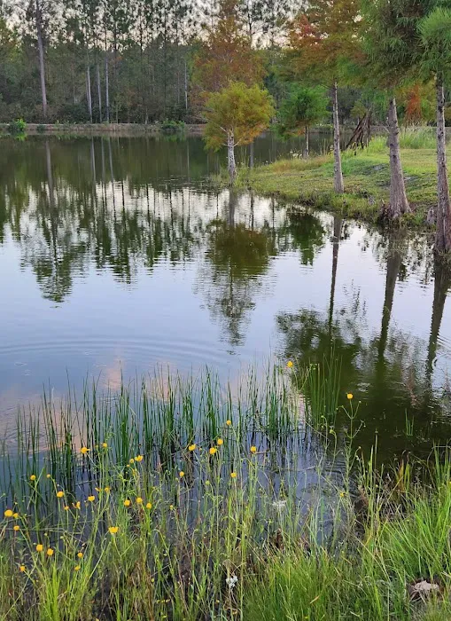 Grace RV PARK Picture 10