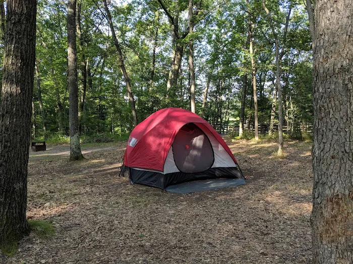 Nichols Lake South Campground Picture 6