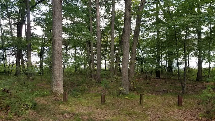 Walkup Lake Campground Picture 6
