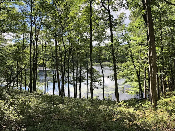 Walkup Lake Campground Picture 9