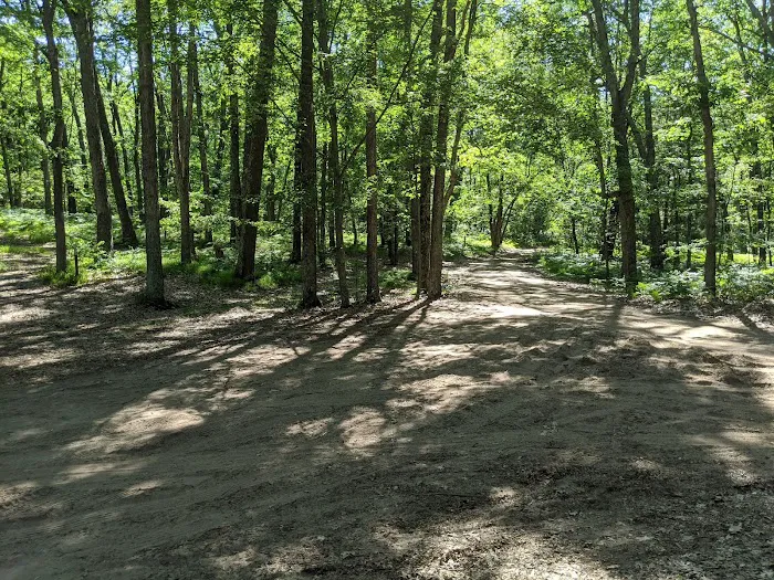 Condon Lakes West Picture 3